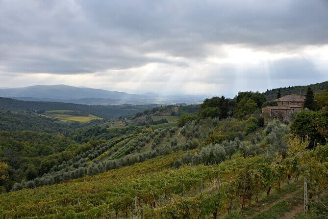 Private Chianti wine tour - What Does This Tour Mean for You?