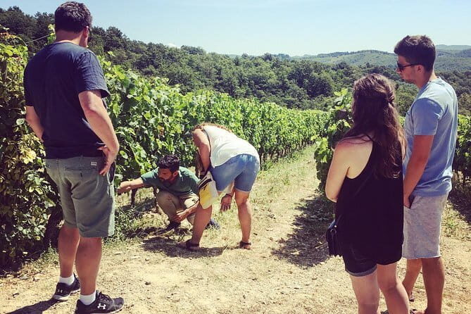Private Chianti Wine Tour - Pricing & Value