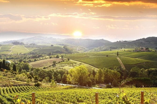 Private Chianti wine tour leaving from Florence - Key Points