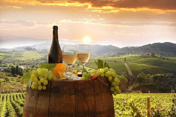 Private Chianti wine tour leaving from Florence - Key Points