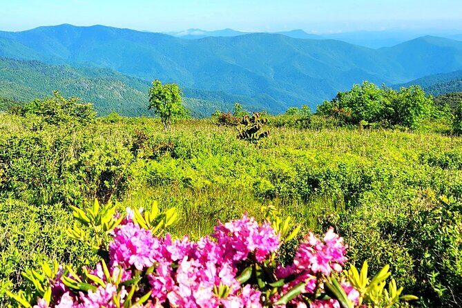 Private "Child-Focused" Blue Ridge Mountains Tour - An In-Depth Look at the Itinerary