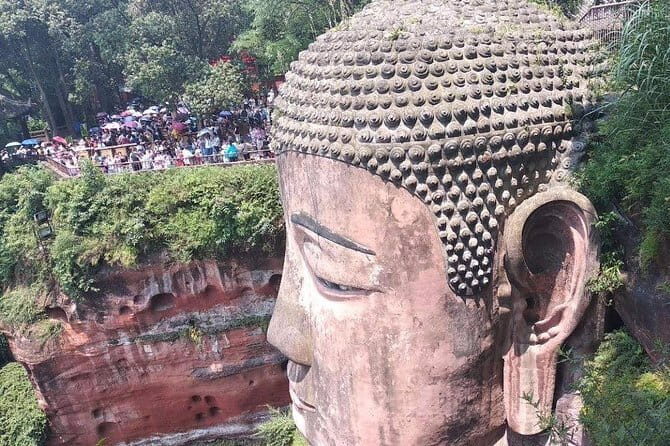 Private Chongqing Bullet Train Trip to Leshan Giant Buddha and Pandas in Chengdu - Analyzing the Value