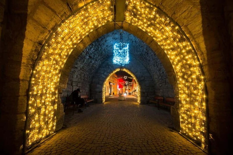 Private Christmas Walking Tour: Visby with Museum and Ruins - FAQ