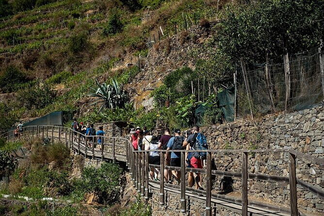 Private Cinque Terre Day Trip from Florence with Optional Hiking - The Allure of the Cinque Terre in One Day