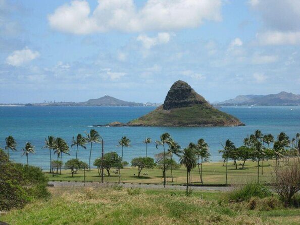 Private Circle Island Full Day up to 14 people (Se habla Español) - Starting at Honolulu Zoo