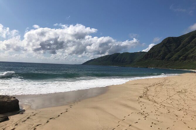 Private Circle Island Full Day up to 14 people (Se habla Español) - Oahu’s North Shore & Famous Beaches
