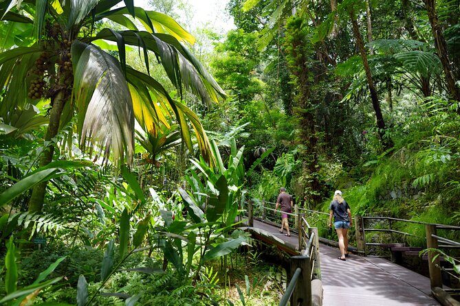 Private Circle Island Off-the-Beaten- Oahu Tour - Who Will Love This Tour?