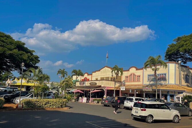 Private Circle Island Tour North Shore and East Side - Final Thoughts