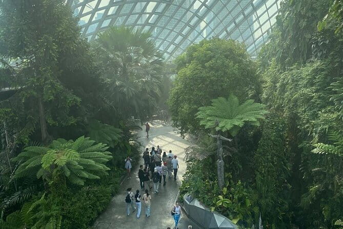 Private City Car Tour Singapore (4 Hours or 8 Hours) - Practical Details