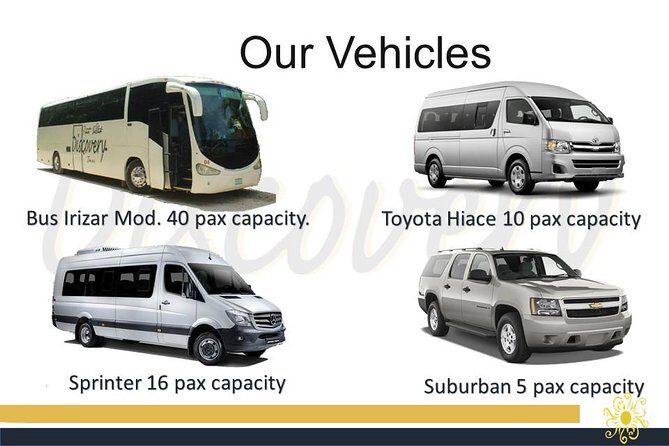 Private City Highlight Tour with Tequila Tasting - Reviews and Real-Life Insights