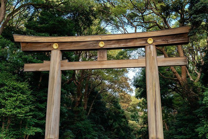Private City Kickstart Tour: Tokyo - An In-Depth Look at the Tour