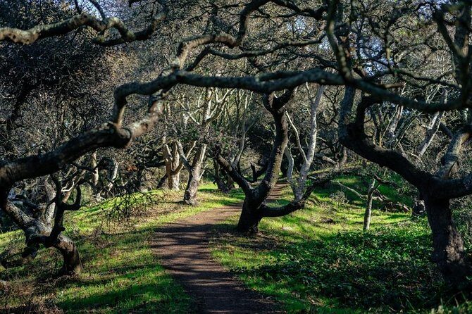 Private City Kickstart Tour:The Castro & Mission District - FAQ
