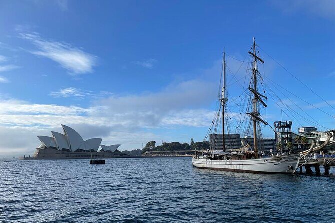 Private City Tour: Best of Sydney - Who Should Consider This Tour?