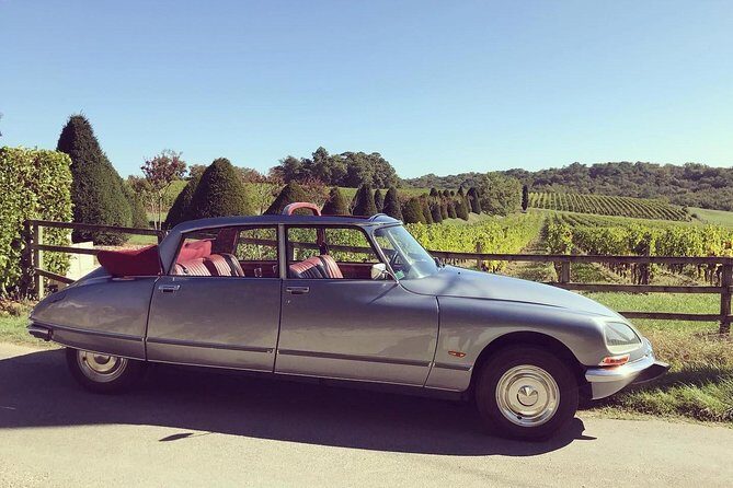 Private city tour of Bordeaux with wine tasting at a chateau - 3H - Final Thoughts