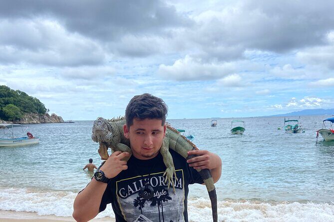 Private City Tour & Rain Forest - Authentic Insights from Travelers