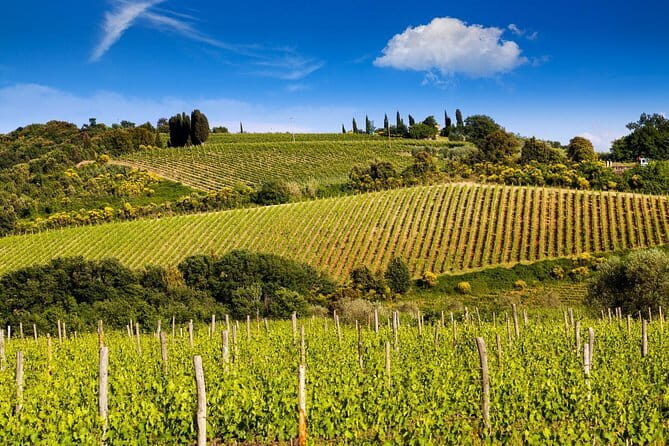 Private Classic Wine Tour in Chianti from Florence - Exploring the Private Classic Wine Tour in Chianti from Florence