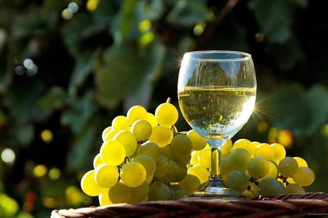 Private Classic Wine Tour in Chianti from Florence - A Deep Dive into What the Tour Offers