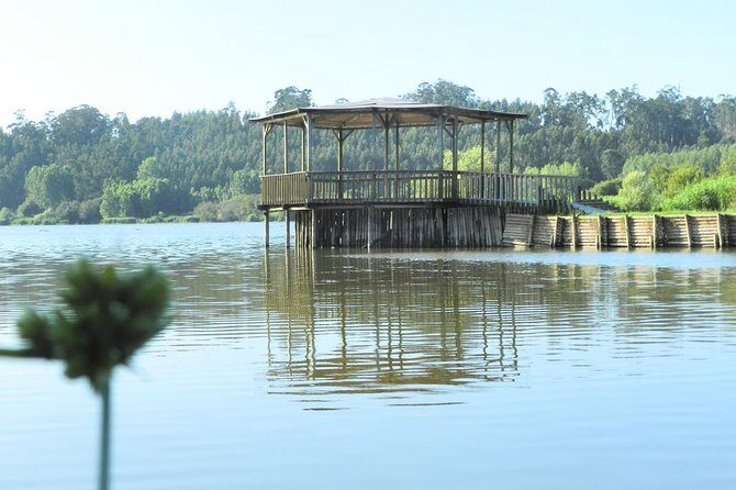 Private Coastal Journey (Obidos, Nazaré) to Águeda Art Umbrellas - Who Will Love This Tour?