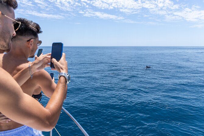Private Coastline and Dolphins Yacht Cruise from Albufeira - The Itinerary in Detail: What’s Included and Why It Matters