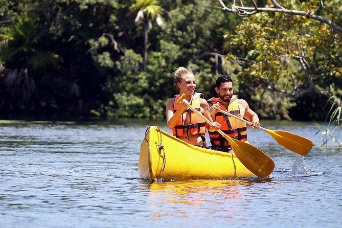 Private Coba & Zipline, Rappel and Cenote Snorkeling - Who Should Book This Tour?