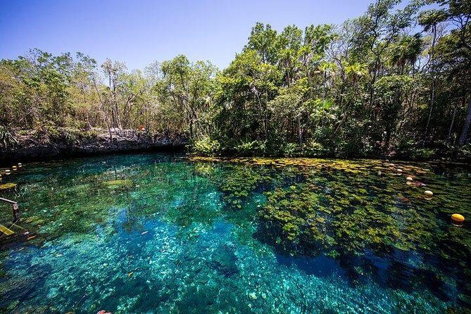Private Coba & Zipline, Rappel and Cenote Snorkeling - FAQ