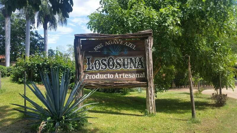 Private Colonial Tour Tequila and the Noria - An In-Depth Look at the Private Colonial Tour of Tequila and La Noria