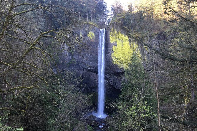 Private - Columbia River Gorge Waterfalls and Wine Tour - Final Thoughts: Who Should Consider This Tour?