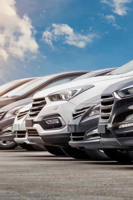 Private Combined Visit: To Ely with Cambridge from London - Practical Details and What to Expect