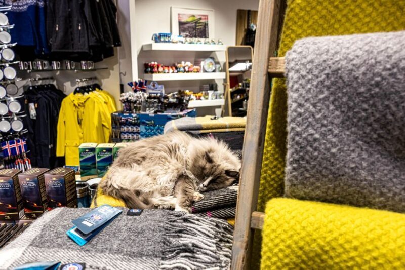 Private Combo Reykjavik Folklore & CatWalk - Why You’ll Love the Private Combo Reykjavik Folklore & CatWalk