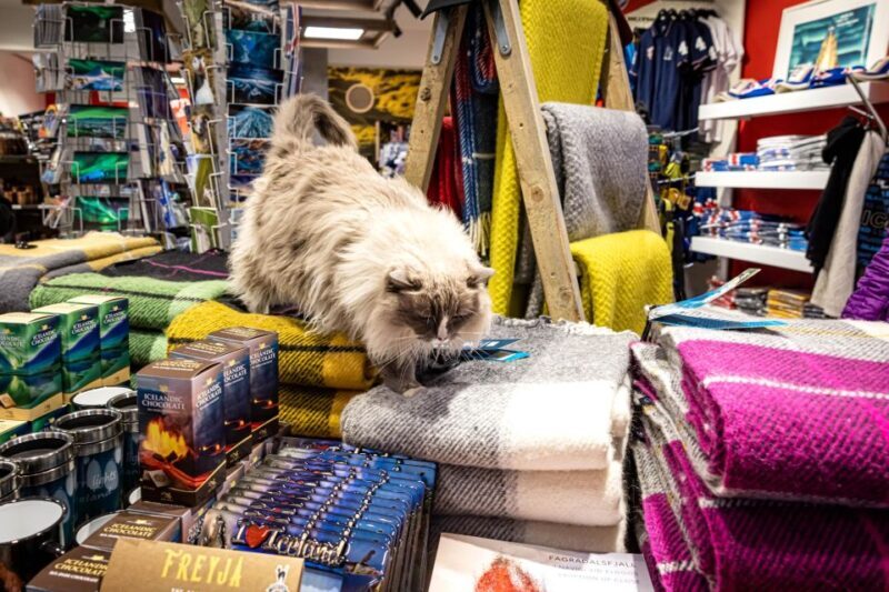 Private Combo Reykjavik Folklore & CatWalk - The Experience Provider and Flexibility