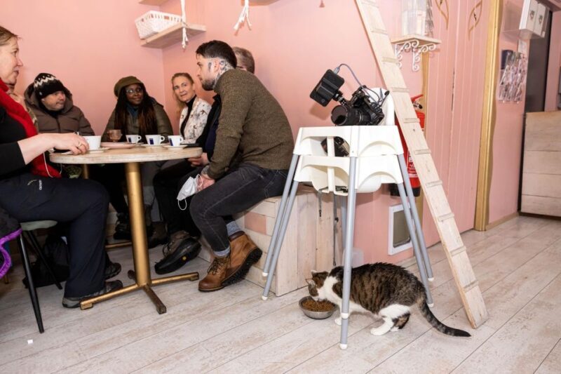 Private Combo Reykjavik Folklore & CatWalk - FAQ