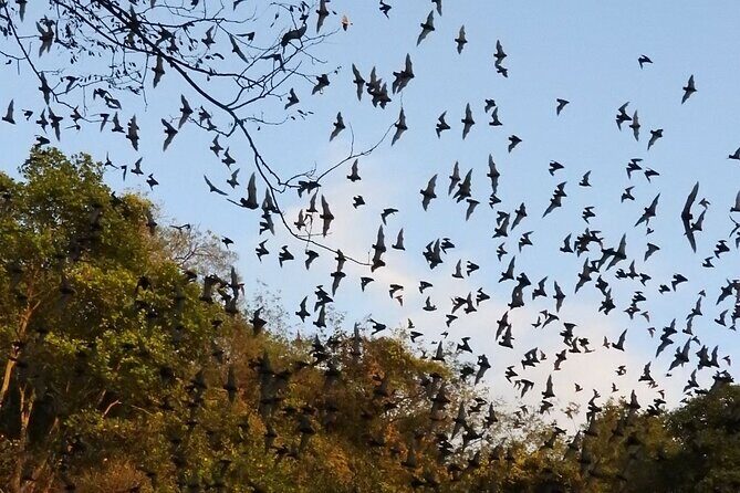 Private Community Tourism Experience in Calakmul - FAQ