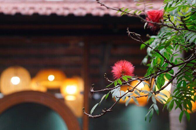 Private Cooking Class in Local Villa with Market Tour - Final Thoughts