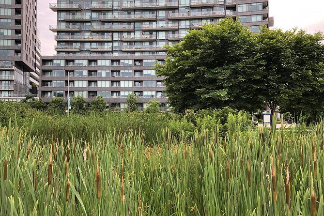 Private Corktown and Distillery District Tour - Practical Details and Tips