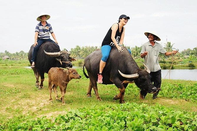 Private Countryside with Buffalo Cart tour - Half Day - The Itinerary in Detail