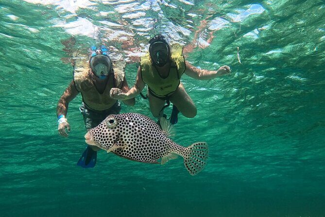 Private Cozumel Jeep and Jade Cavern Cenote Tour - Final Thoughts: Is This Tour Right for You?