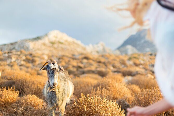 Private Crete Far West Adventure: Hiking, History & Beaches - A Deep Dive Into the Crete Far West Tour