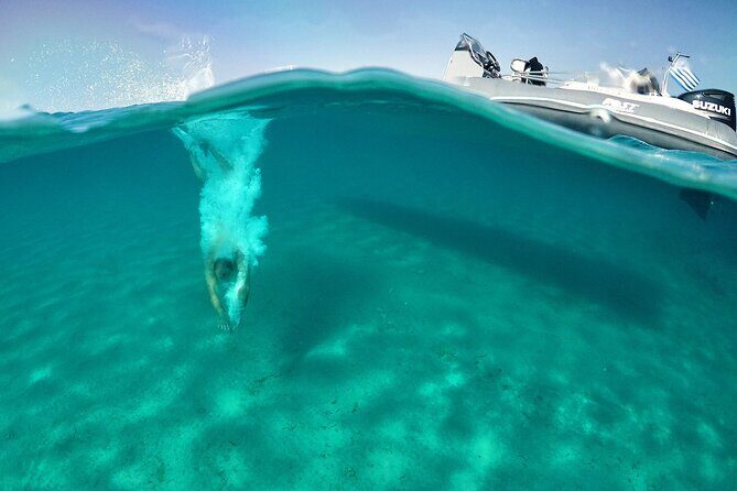 Private cruise: AEGINA ISLAND - MOLI ISLET - PERDIKA - What Makes This Tour Stand Out