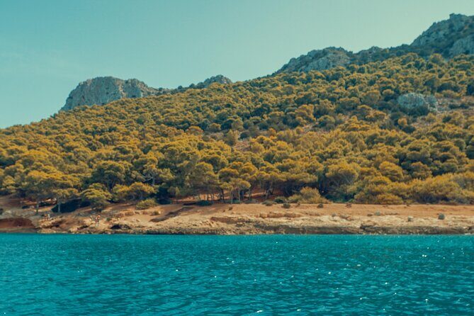 Private cruise: AEGINA ISLAND - MOLI ISLET - PERDIKA - FAQ