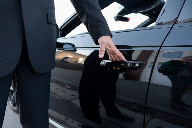 Private Cruise Port to Airport Transfer in Barcelona - Who Should Consider This Transfer?