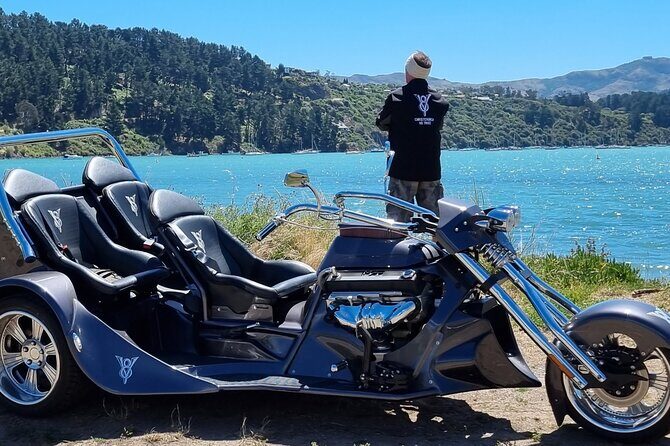 Private Cruise Ship Passengers Tour, Sightseeing in Christchurch - What Travelers Are Saying