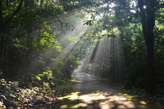 Private Cuc Phuong National Park Day Trip - Why This Tour Is Worth Considering