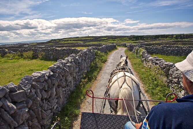 Private cultural tour of Inisheer, Aran Islands with lunch, horse and trap tour - Exploring the Charm of Inisheer: A Review of the Private Cultural Tour