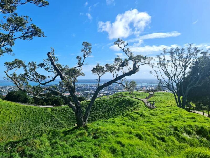 Private Custom: Auckland City Hidden Gem Tour - The Sum Up