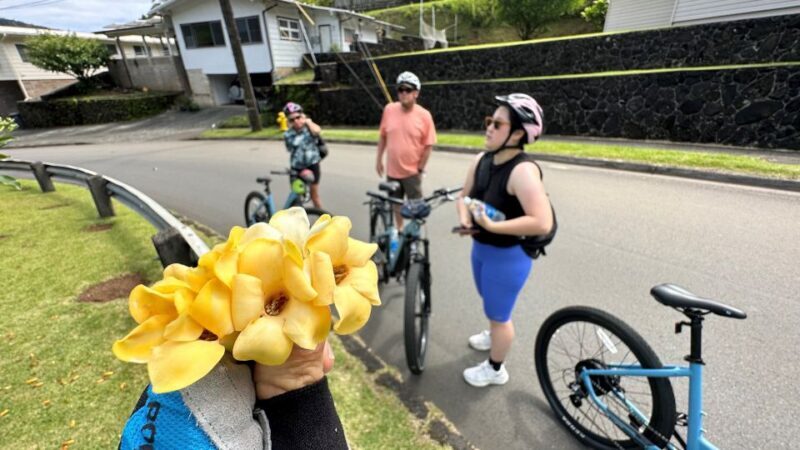 Private Custom Bike or Electric Bike Tour - Exploring Honolulu on a Private Bike or Electric Bike