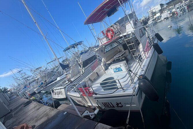 Private & Custom - Family Fish and Snorkel Charter - Key Points