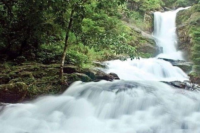 Private Custom Tour: Coorg Sightseeing with return hotel transfer - Abbey Falls: Natures Stunning Cascade