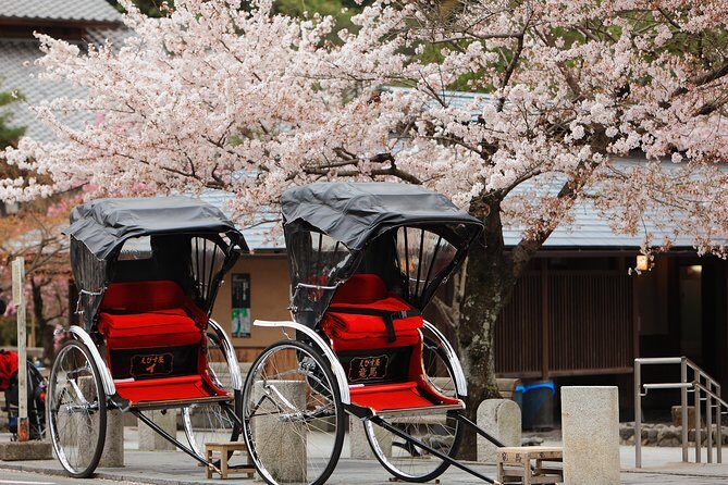 Private Custom Tour: Kyoto in One Day - Who is this tour perfect for?