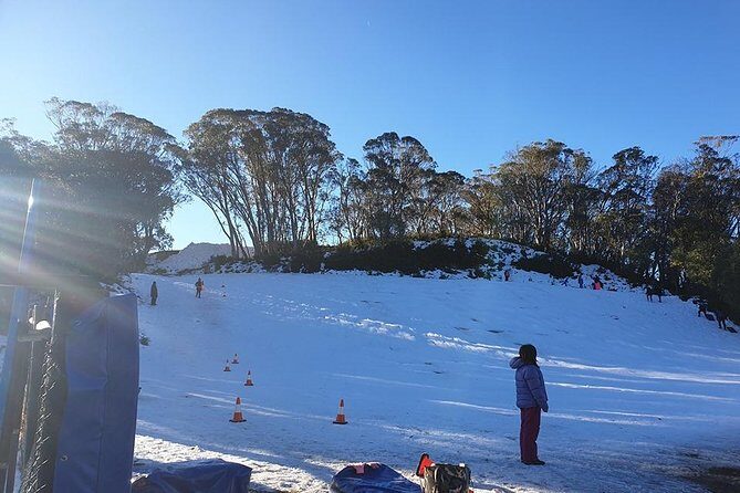 Private custom Tour of Phillip Island With Penguin Parade - The Experience for Different Travelers