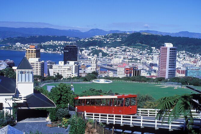 Private custom tour with a local guide Wellington - Authenticity and Reviews